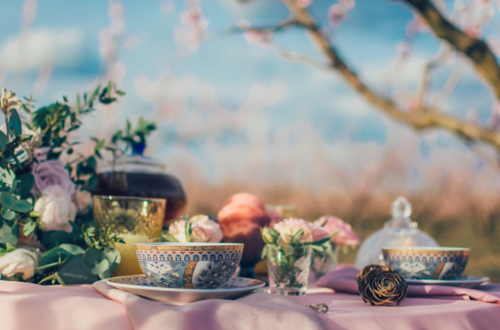 Garden Party with Rose