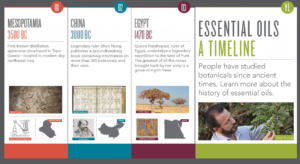 yl-essential-oils-timeline-graphic