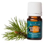 Northern-Lights-Black-Spruce Northern Lights Black Spruce