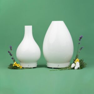 2 Beautiful Hand Blown Diffusers