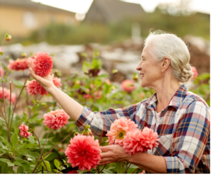 Shirley F. - Iowa - customer