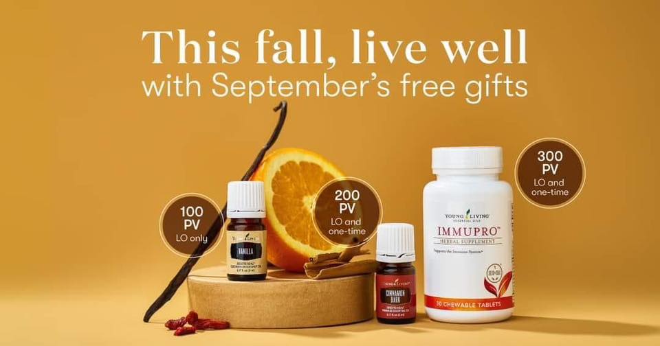 September 2024 - Cinnamon Bark - Vanilla - Immupro