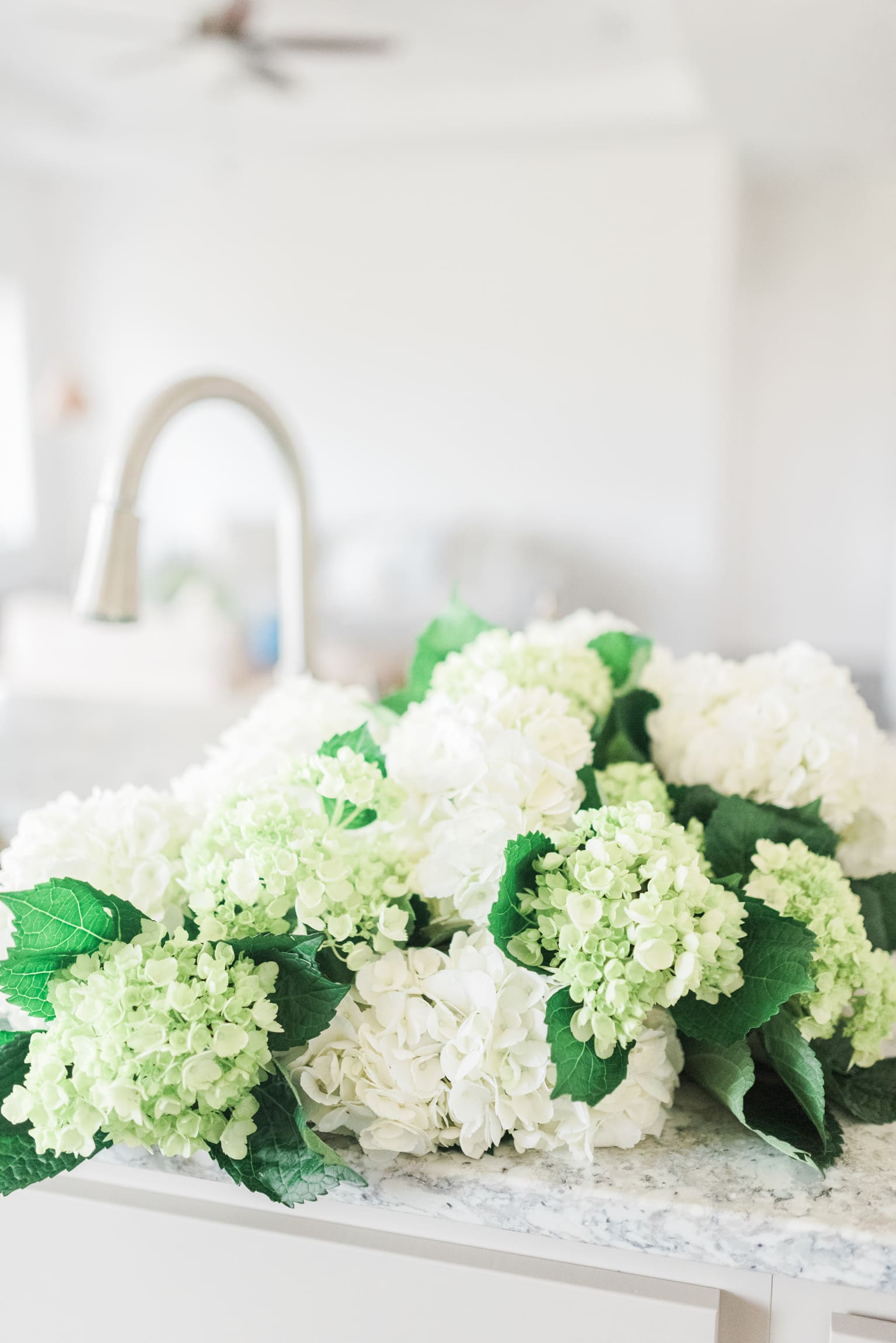 Kitchen counter with white & green hydrangea
